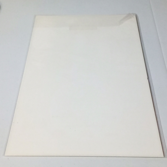 Spider-Man #24 Graded: 9.8 - Picture 2 of 4